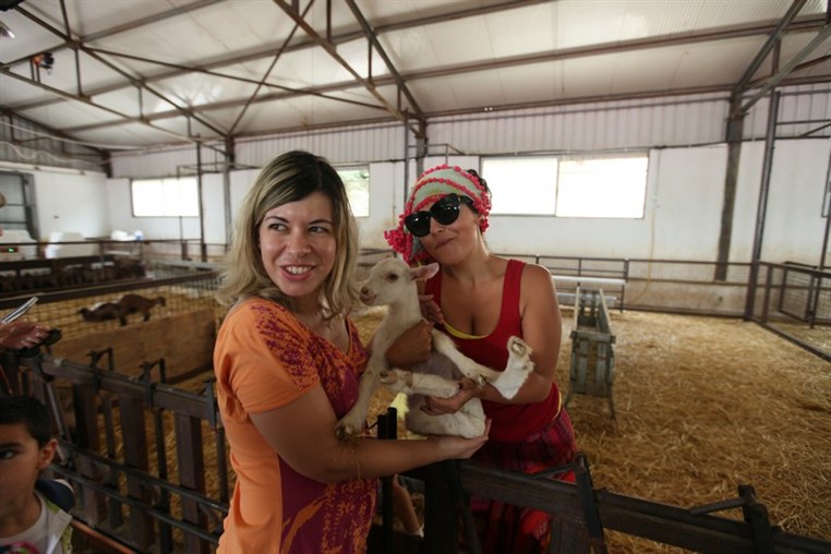Dairy Khoury Farm Gates Opening